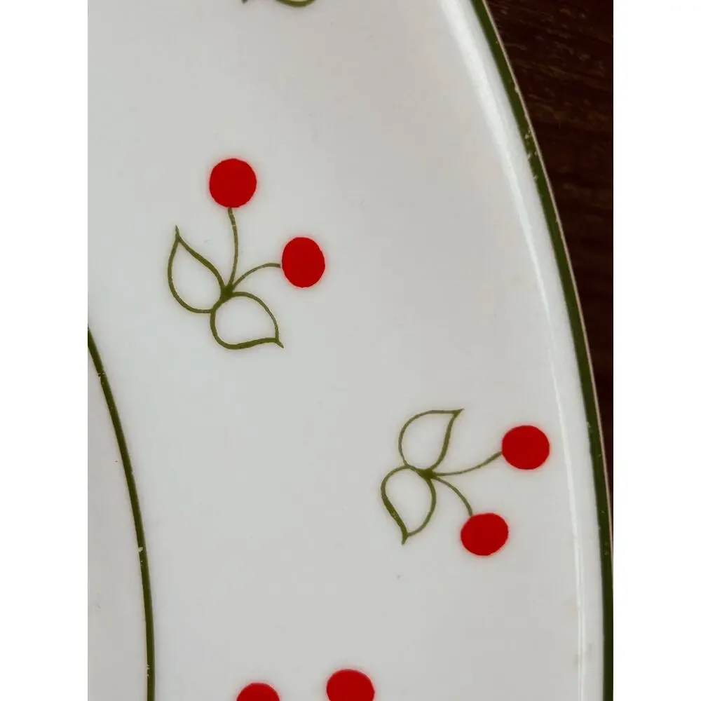 Vintage Porcelana Schmidt Brasil Cherry Pattern Dinnerware Set 16pc